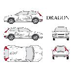 Set complet Adhesifs -DRAGON- Argent - Taille M - Car Deco