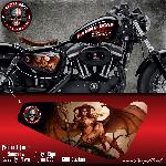Stickers Harley Davidson Sportster SWEET DEMON pour Forty-eight Seventy-Two Iron 883 Superlow 1200 Custom - Run-R