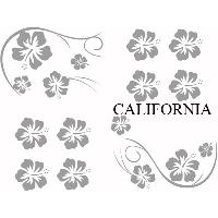 Stickers Monocouleurs Set Adhesifs -ELEMENT CALIFORNIA- Gris - Car Deco