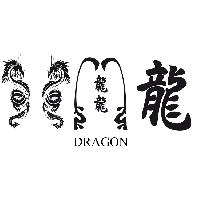 Stickers Monocouleurs Set Adhesifs -ELEMENT DRAGON- Noir - PROMO ADN - Car Deco