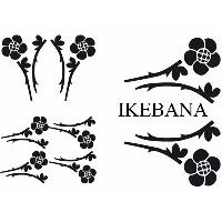 Stickers Monocouleurs Set Adhesifs -ELEMENT IKEBANA- Noir - PROMO ADN - Car Deco