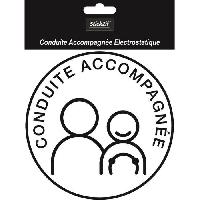 Stickers Multi-couleurs Disque Conduite Accompagnee Electrostatique SCA8