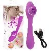 Stimulateurs externes Vibromasseur Rechargeable Double Fonction