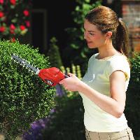 taille-haie taille-haie