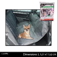 tapis-de-transport tapis-de-transport