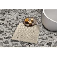 tapis-descente-de-bain-toilette