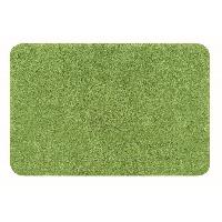 tapis-descente-de-bain-toilette