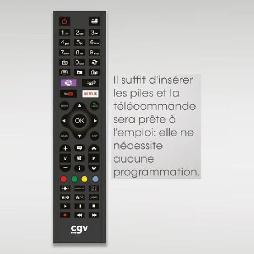 Telecommande Tv - Video - Son Télécommande de remplacement - CGV - FIDELIO Grundig - Pour téléviseurs Grundig - Sans programmation - Prete a l'emploi