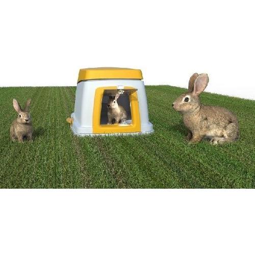 Clapier Terrier de lapin - KERBL - BUNNY BASE KIT - Habitat parfait - Cavité instinct