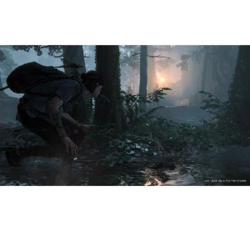 The Last of Us Part II Jeu PS4 - Compatible PS5