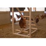 Perchoir Tour d'escalade pour poules - KERBL - 85 x 55 x 76 cm - Avec balançoire - Echelle robuste