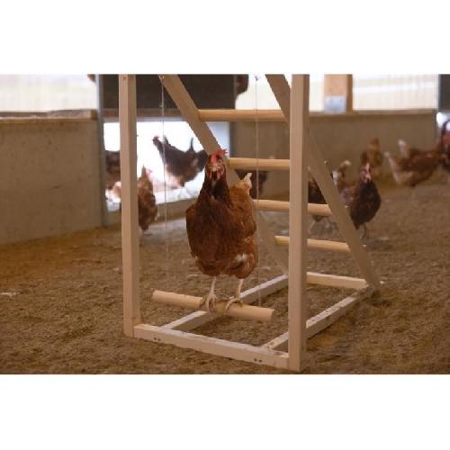 Perchoir Tour d'escalade pour poules - KERBL - 85 x 55 x 76 cm - Avec balançoire - Echelle robuste