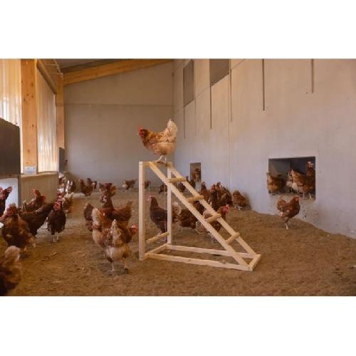 Perchoir Tour d'escalade pour poules - KERBL - 85 x 55 x 76 cm - Avec balançoire - Echelle robuste