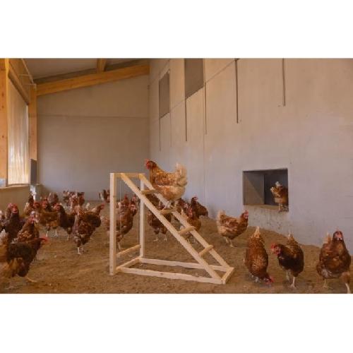 Perchoir Tour d'escalade pour poules - KERBL - 85 x 55 x 76 cm - Avec balançoire - Echelle robuste