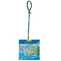 transport-deplacement-promenade