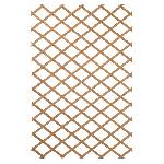 Treille - Treillis Treillis en bois NATURE - 100x200cm - Bois naturel - Palissade de jardin