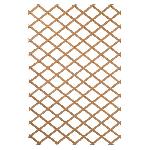 Treille - Treillis Treillis en bois NATURE - 100x200cm - Bois naturel - Palissade de jardin
