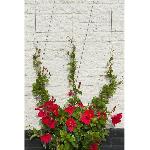 Treille - Treillis Treillis métallique - NATURE - Kit de palissage pour plantes grimpantes - fil de fer galvanisé Ø1.8 mm x 10 m