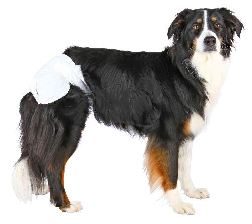 Culotte Hygienique - Couche - Incontinence - Protection Menstruelle - Chaleurs TRIXIE Couches pour chiens taille L