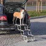 TRIXIE Escalier repliable Petwalk - Aluminium - Pour chien