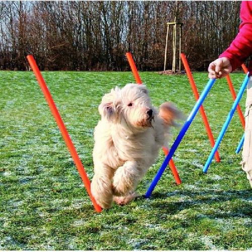 Materiel D'entrainement - Agility TRIXIE Piquets de slalom pour parcours d'agilité 115 cm 12 pcs Plastique