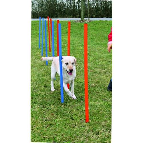 Materiel D'entrainement - Agility TRIXIE Piquets de slalom pour parcours d'agilité 115 cm 12 pcs Plastique