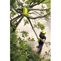 tronconneuse-elagueuse