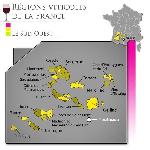UBY N°4 Gros et Petit Manseng - Vin blanc des Côtes de Gascogne 2023