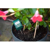 ustensiles-de-mesure-ustensiles-de-controle