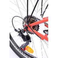 velo-de-ville-beach-cruiser-velo-hollandais