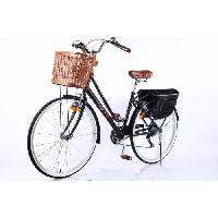 velo-de-ville-beach-cruiser-velo-hollandais