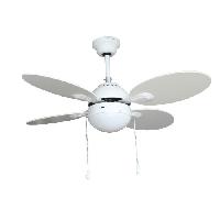 ventilateur-de-plafond-ventilateur-plafonnier