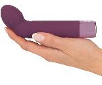 Vibromasseurs Vibromasseur USB Point-G Elegant Series