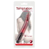 Vibromasseurs vibromasseur Temptation Ruby