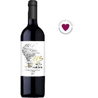 Vin 113 metres d'altitude 2019 Graves - Vin rouge de Bordeaux