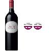Vin Rouge Folie de Chauvin 2016 Saint-Emilion Grand Cru - Vin rouge de Bordeaux