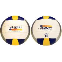 volley-ball volley-ball