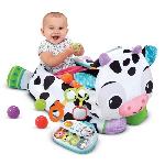 Table Activite - Jouet D'activite VTECH MAXI PELUCHE PISCINE A BALLES MUSICALE