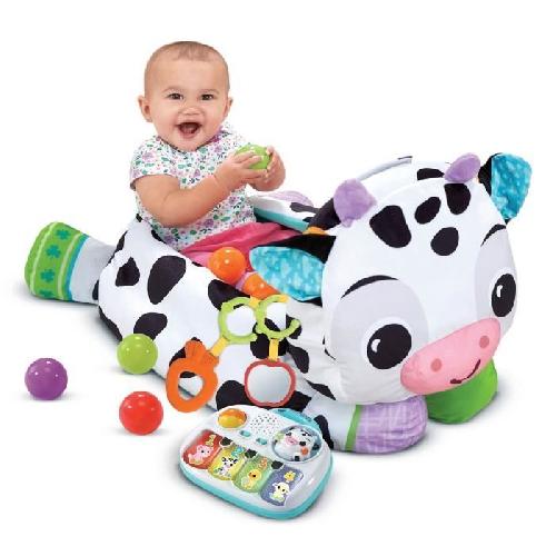 Table Activite - Jouet D'activite VTECH MAXI PELUCHE PISCINE A BALLES MUSICALE