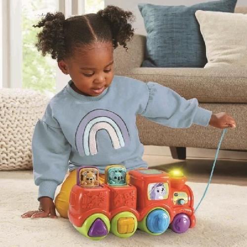 Porteur - Pousseur VTECH ROUL'TRAIN CACHE-CACHE DES P'TITS LOULOUS