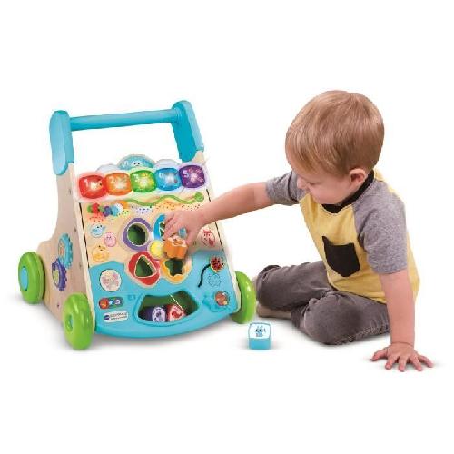 Porteur - Pousseur VTECH SUPER TROTTEUR NATURE INTERACTIF (JOUET AVEC PARTIE BOIS CERTIFIE FSC)