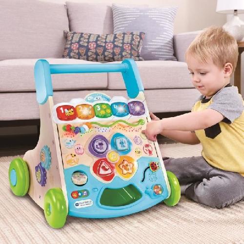 Porteur - Pousseur VTECH SUPER TROTTEUR NATURE INTERACTIF (JOUET AVEC PARTIE BOIS CERTIFIE FSC)