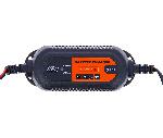 Chargeur De Batterie XLPT Chargeur de batterie 1A 12V