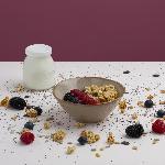 Yaourtiere - Fromagere Yaourtiere HKoeNIG - ELY120 - Capacite 12 pots de 160ml - Programmable jusqu'a 15h - 15W