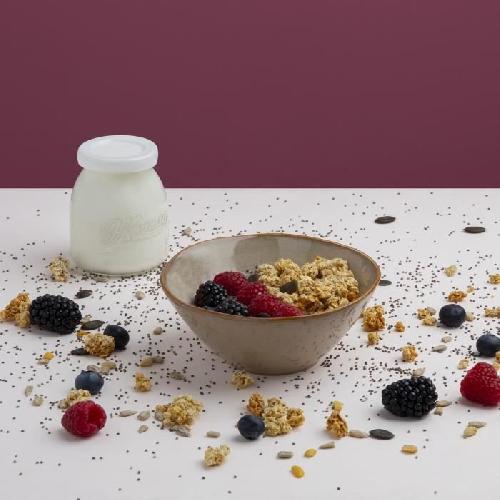 Yaourtiere - Fromagere Yaourtiere HKoeNIG - ELY120 - Capacite 12 pots de 160ml - Programmable jusqu'a 15h - 15W